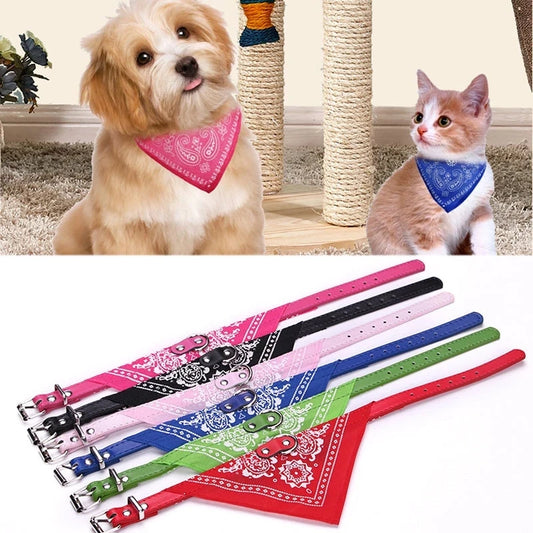 Purrfect Bandana Collars