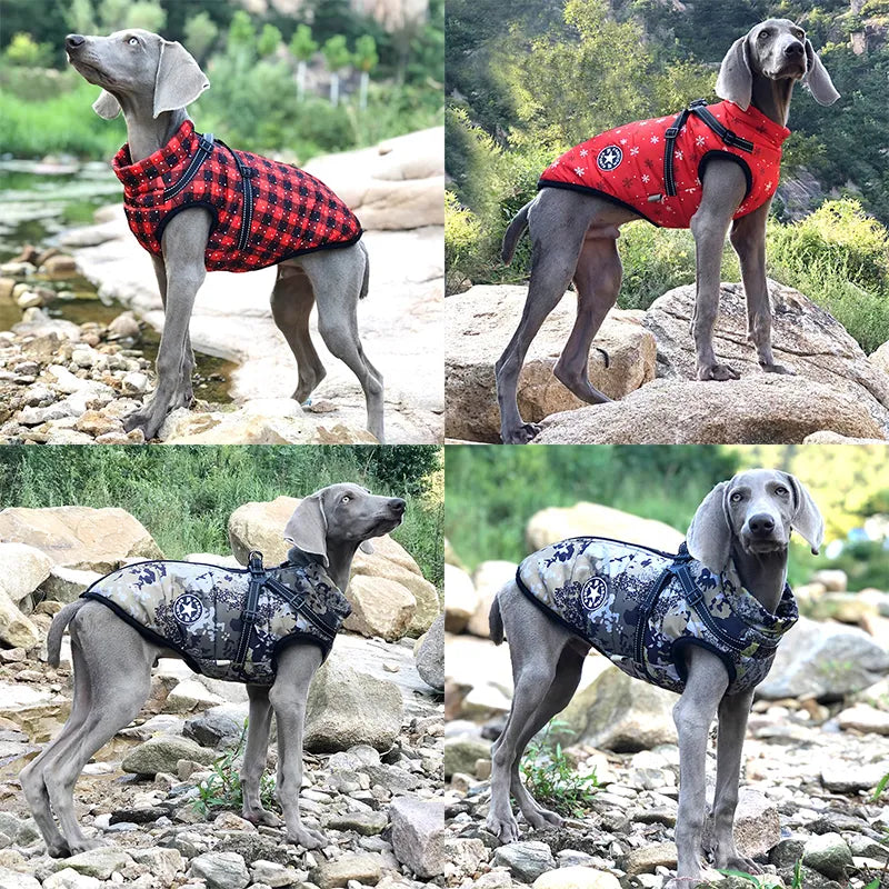 Purrfect Dog Jacket