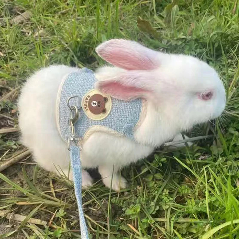 Purrfect Rabbit Harness and Leash