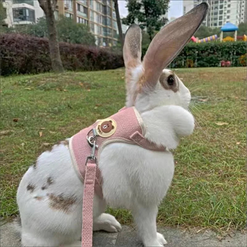 Purrfect Rabbit Harness and Leash