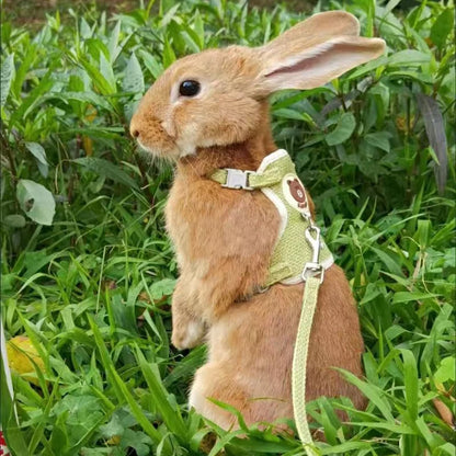 Purrfect Rabbit Harness and Leash