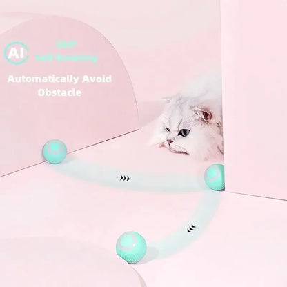 Purrfect Smart Cat Ball