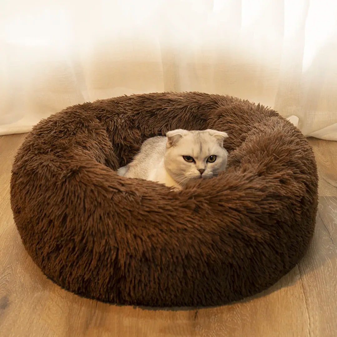 Purrfectly Comfortable Pet Bed