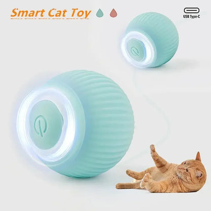 Purrfect Smart Cat Ball