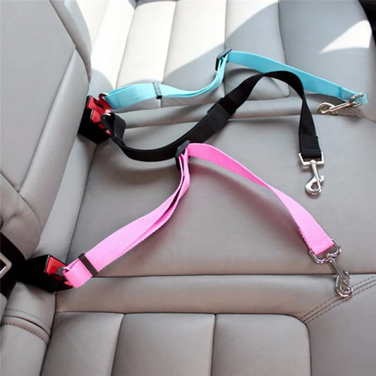 Dog Seat Belt