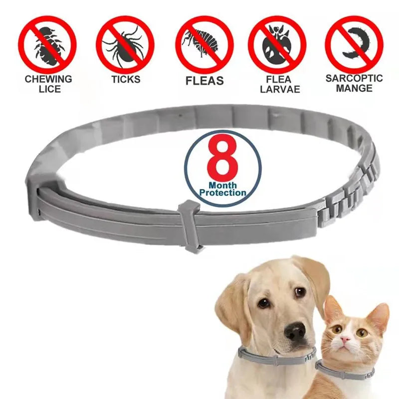 Purrfect Flea and Tick Collar